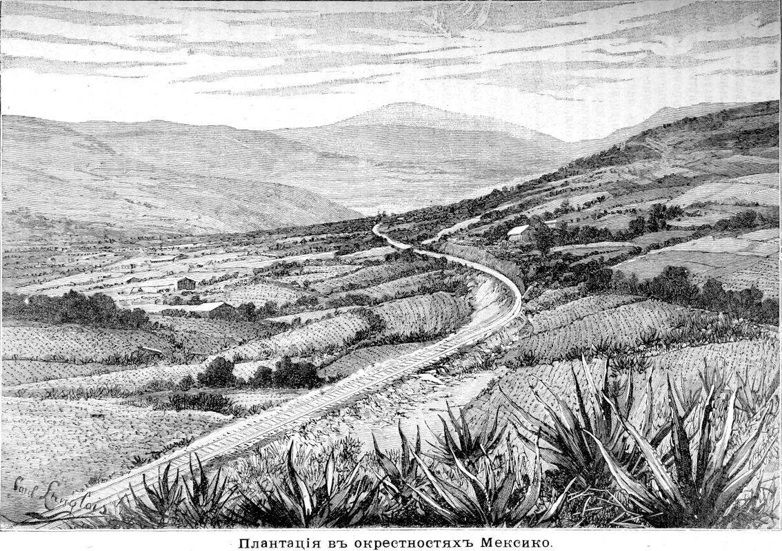 213 Плантация в окрестностях Мексико